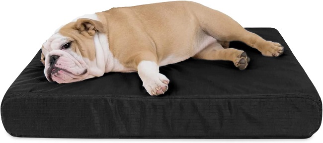 K9 Ballistics Tough Orthopedic Dog Bed – built for durability and long-lasting comfort