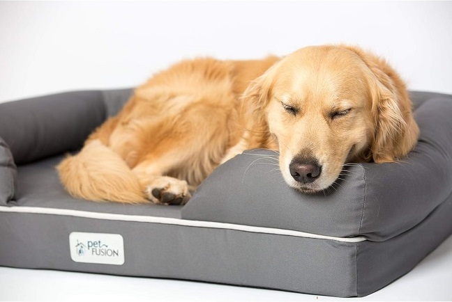 PetFusion Ultimate Dog Bed – a plush, supportive bed designed for older dogs.